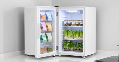 small fridge seed storage