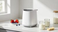 yogurt makers for breakfast