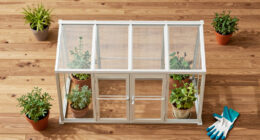 10 Best Garden Greenhouse Kits in 2026