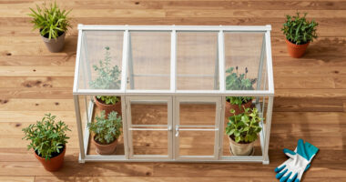10 Best Garden Greenhouse Kits in 2026