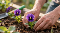 10 Ravishing Purple Flowers To Grow For The Most Beautiful Garden Borders Of All Time – Get Ready To Swoon!