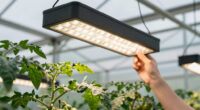12 Best Garden Grow Lights For Greenhouses In 2026