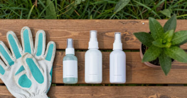 13 Best Tick Repellents in 2026