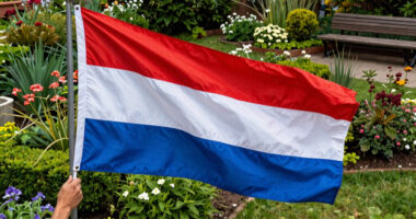 14 Best Patriotic Garden Flags in 2026