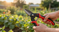 8 Best Ergonomic Garden Pruners in 2026