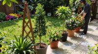 9 Clever Landscape-Design Tricks To Make A Boxy Backyard Feel Big And Beautiful