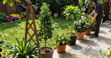9 Clever Landscape-Design Tricks To Make A Boxy Backyard Feel Big And Beautiful