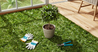 Is Your Neighbor's Tree Blocking The Sunlight In Your Yard? Here’s What You Can (And Can’t) Do About It, According To A Lawyer