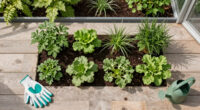 Think Companion Planting Doesn’t Stop Pests? It’s Because You’re Not Scent Clustering