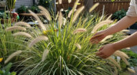10 Best Easy-to-Grow Ornamental Grasses That Add A Professional Polish To Your Backyard