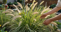 10 Best Easy-to-Grow Ornamental Grasses That Add A Professional Polish To Your Backyard