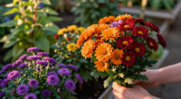 9 Best Fall-Blooming Perennial Plants in 2026