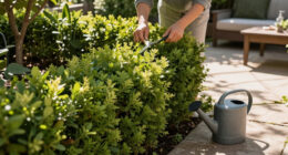 Move Over Boxwood! Kevin Bacon's Drought-Tolerant Privacy Scheme Is A Smarter Way To Screen Your Yard
