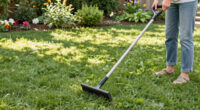 Scarifier Vs Dethatcher: Experts Explain The Difference And Which One You Should Use On Your Lawn