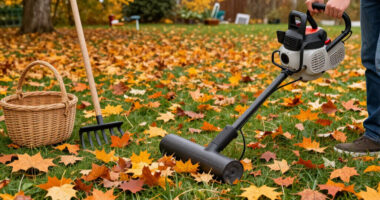 15 Best Leaf Blower for Fall Yard Cleanup in 2026
