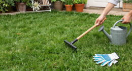 5 Healing Lawn Care Tasks To Revive And Repair Grass After Summer Heat – Get These Fixes Done Before September Ends