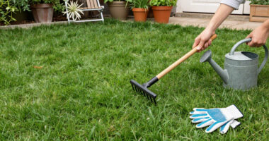 5 Healing Lawn Care Tasks To Revive And Repair Grass After Summer Heat – Get These Fixes Done Before September Ends
