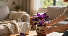 6 Purple Houseplants That Add Instant Drama To Your Home – And They're Low Maintenance, Too!
