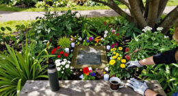 Cleveland Police Hq Memorial Garden In Middlesbrough Surges In Global Coverage