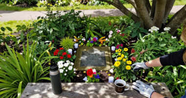 Cleveland Police Hq Memorial Garden In Middlesbrough Surges In Global Coverage