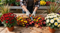 Do You Know The September Stagger? This Easy Late-Season Pruning Trick Will Transform Your Fall Borders