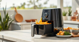Enjoy Summer Snacks Faster with the Ninja Air Fryer AF141