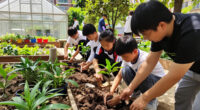 Fleurhof Learners Join City In Growing A Greener Johannesburg - City Of Johannesburg