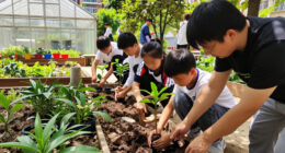 Fleurhof Learners Join City In Growing A Greener Johannesburg - City Of Johannesburg