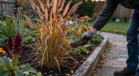 Just As Other Plants Start To Fade, These 6 Ornamental Grasses Hit Their Stride