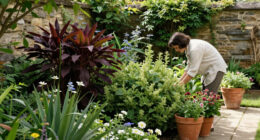 Nicole Kidman’s Bewitching Border Plants Make A Real Statement – And They’re Surprisingly Easy To Recreate