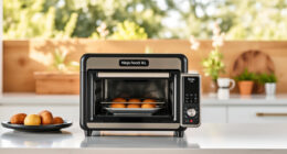 Summer Grilling with Ninja Foodi XL Pro Air Oven Accessories