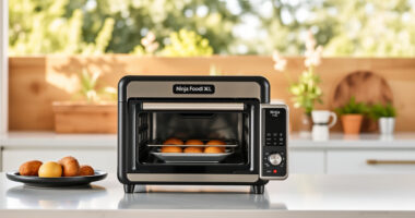 Summer Grilling with Ninja Foodi XL Pro Air Oven Accessories