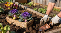 These 6 Edible Plants Are Almost Too Pretty For The Vegetable Garden – Add Them To Your Fall Borders Instead