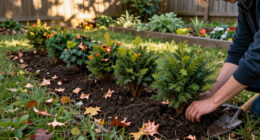 Want More Privacy Next Year? Plant These 6 Beautiful Hedges This Fall For Natural Screening From Prying Eyes