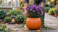 5 Best Halloween Outdoor Planters in 2027