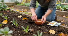 5 Easy Flowers To Sow In October For A Garden Bursting With Colour Next Spring And Summer