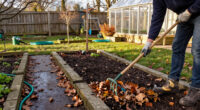 8 Proven Steps To Deter Snakes From Your Garden – And October Is The Very Best Time To Take Action