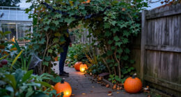 Best Spooky Garden Decorations Compared