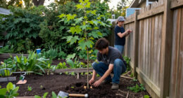 How To Get Rid Of Tree Of Heaven Without Making The Problem Worse
