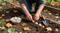 How To Plant Garlic Cloves In Fall: Step-by-Step Guide