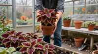 How To Save Your Coleus Before The First Frost