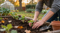 News: Plant In Autumn For More Resilience