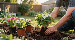 Plant These 7 Compact Flowering Shrubs This Fall For Stunning Spring Blooms In Even The Smallest Yards