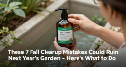 These 7 Fall Cleanup Mistakes Could Ruin Next Year's Garden – Here's What To Do Instead