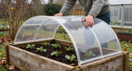 This Clever Raised Bed Cover Helps You Grow For Longer – Frost Doesn't Have To Mean The End Of Your Harvest