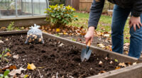 This Fall Bulb-Planting Mistake Can Ruin Your Spring Display – Here's How To Avoid It And Get Beautiful Floral Displays