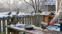 Want To Help Garden Birds This Winter? 7 Simple Ways To Feed Them Safely And Create A Bird-friendly Garden